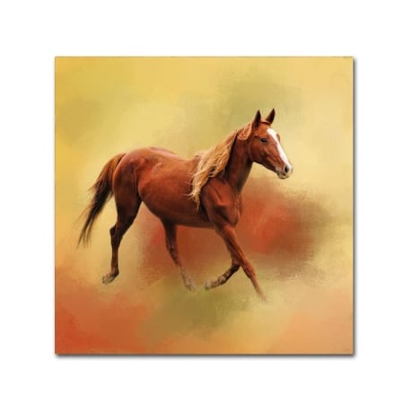 Jai Johnson 'A Dash Of Chestnut Mare' Canvas Art,24x24